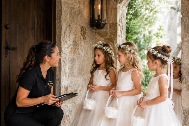 The wedding fairy  (2).png
