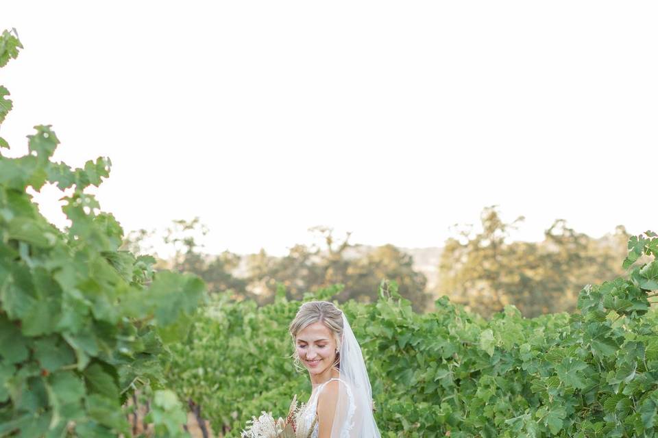 A bride in the vineyard