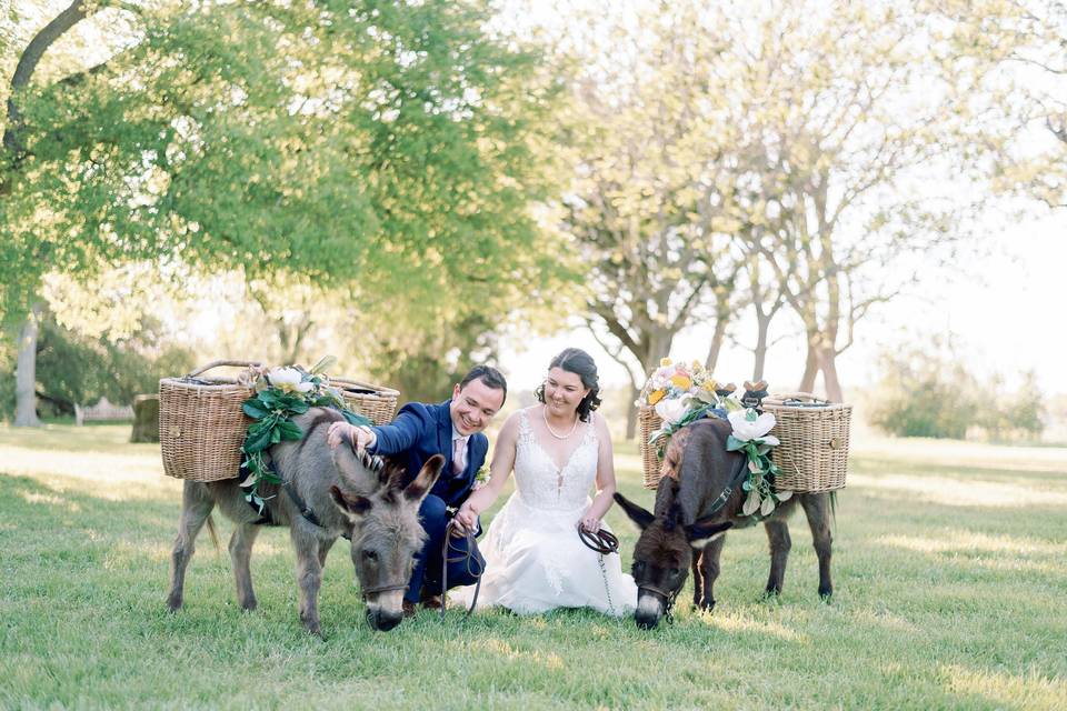 Wedding with Beer Burros