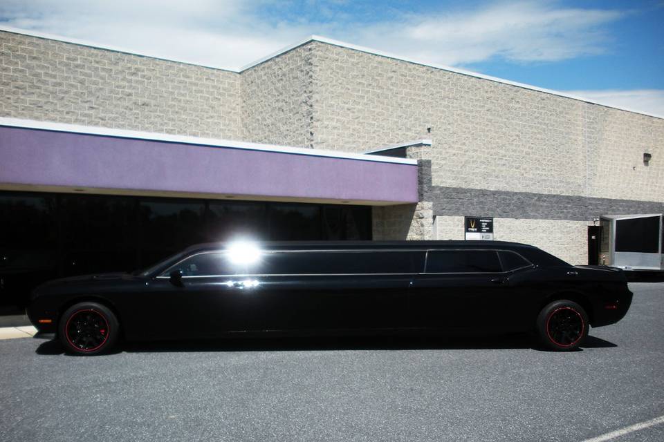 Unique Limousine