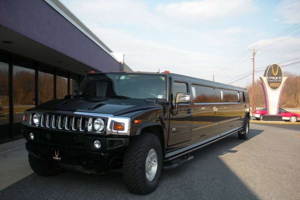 Unique Limousine