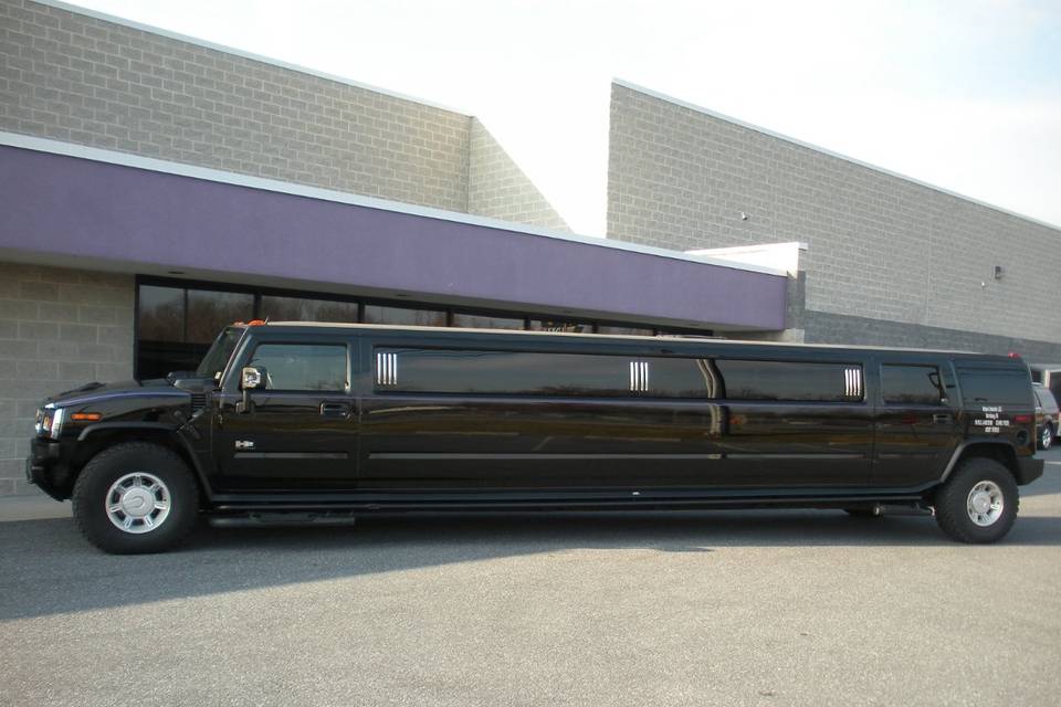 Unique Limousine