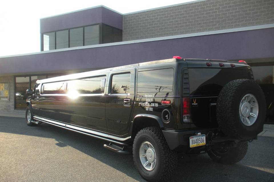 Unique Limousine