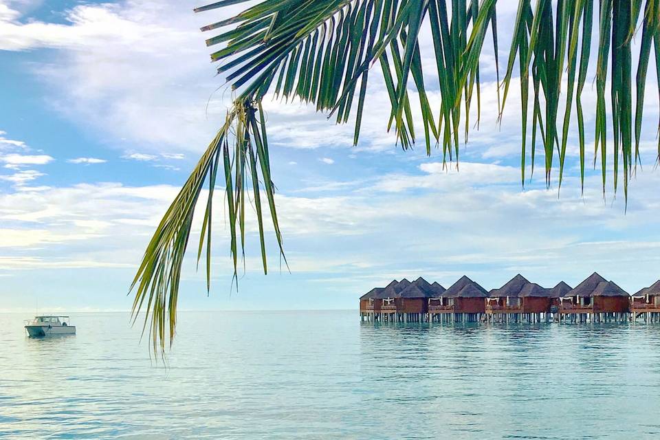 Stay in over water bungalows in the dreamy destinations of Bora Bora or Maldives!!