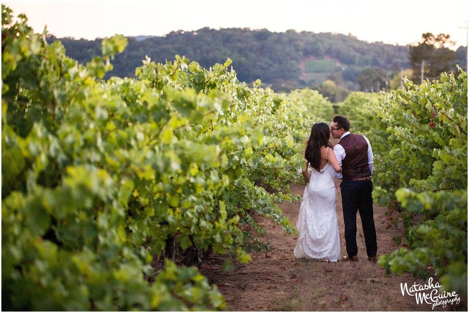 Wilson winery wedding