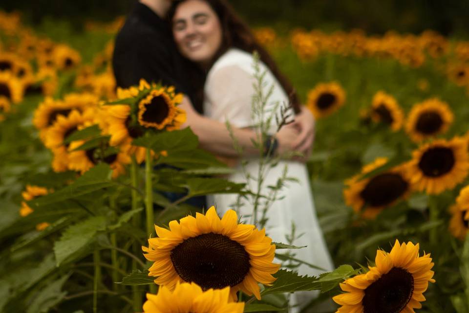 Sunflower Field Engagement