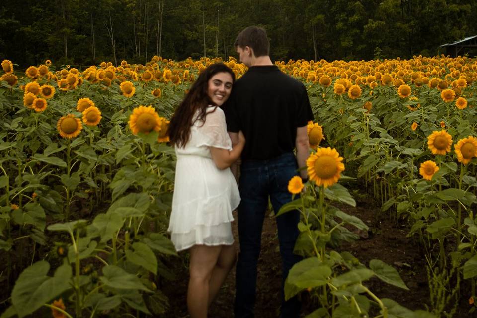 Sunflower Field Engagement
