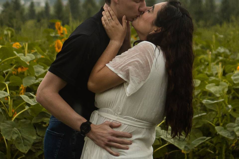 Sunflower Field Engagement