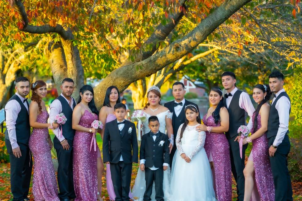 Wedding