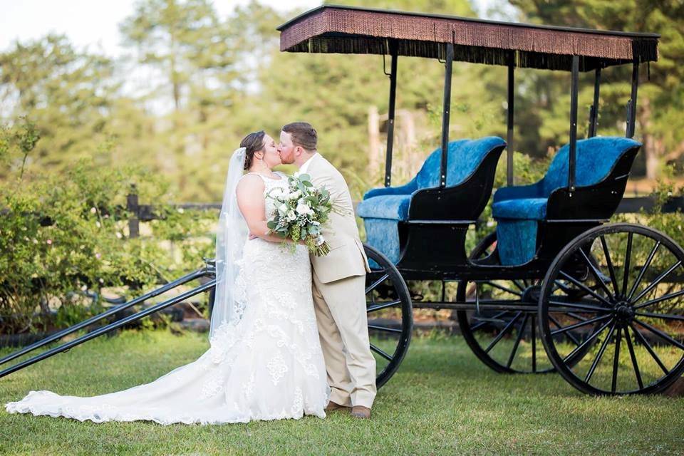 Kisses at the Carriage