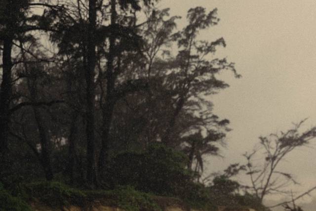 ❤️Bride and groom