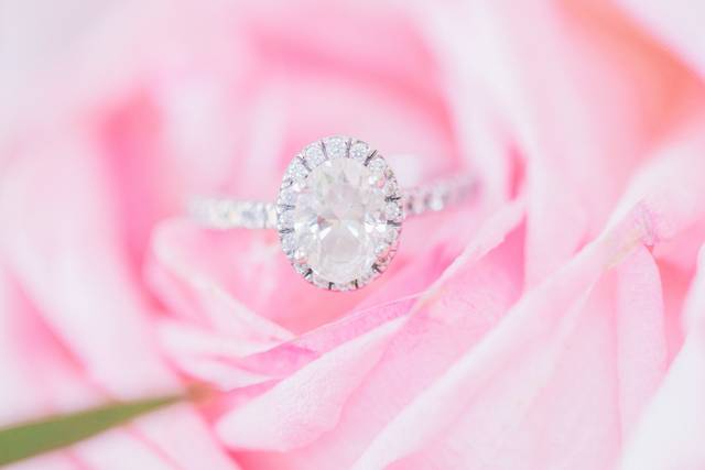 Shaimaa Eissa Photography