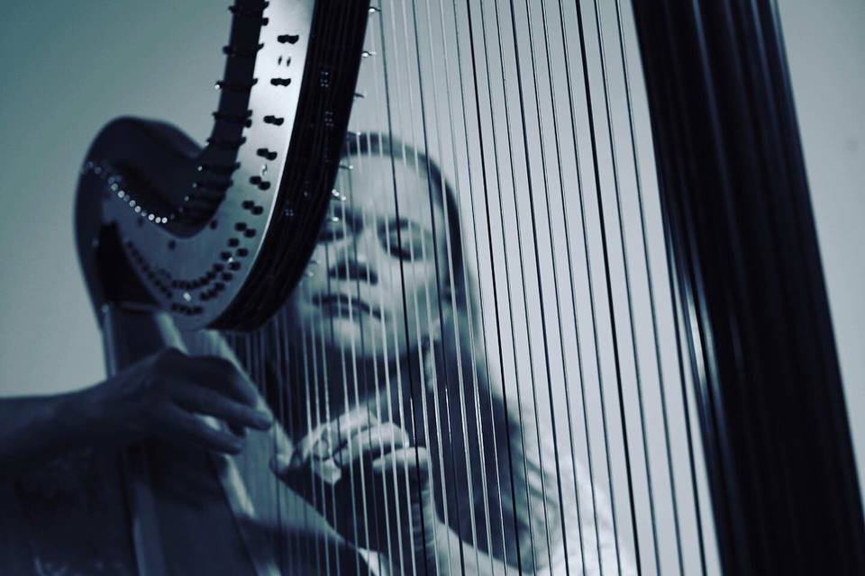 Harpist for All Occasions!