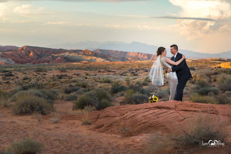 Valley of Fire Wedding