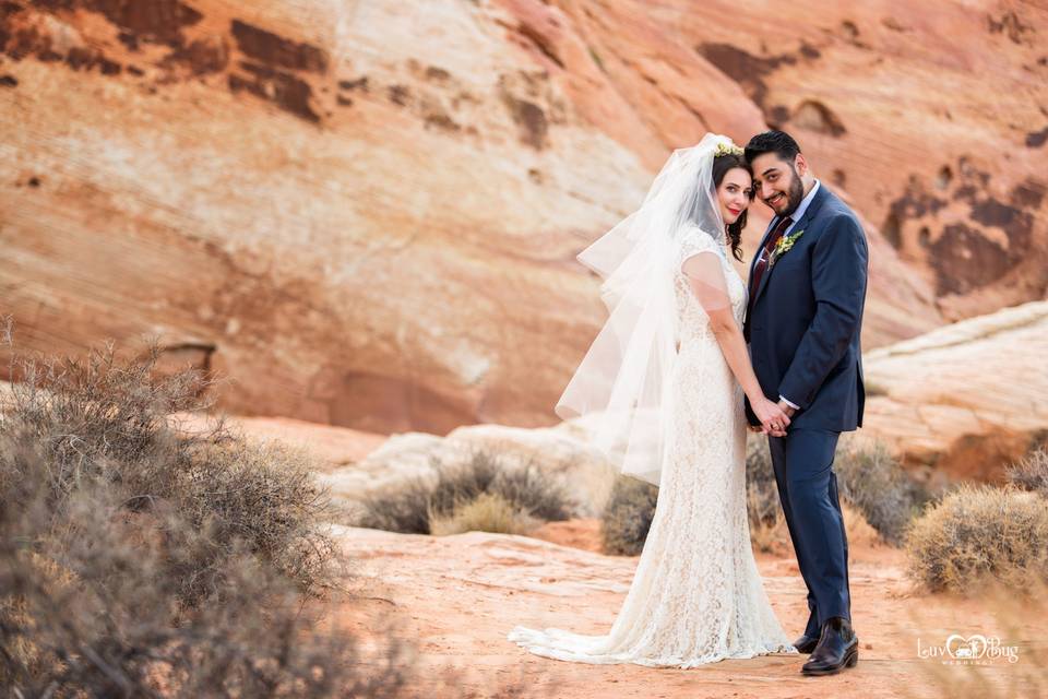 Valley of Fire Wedding