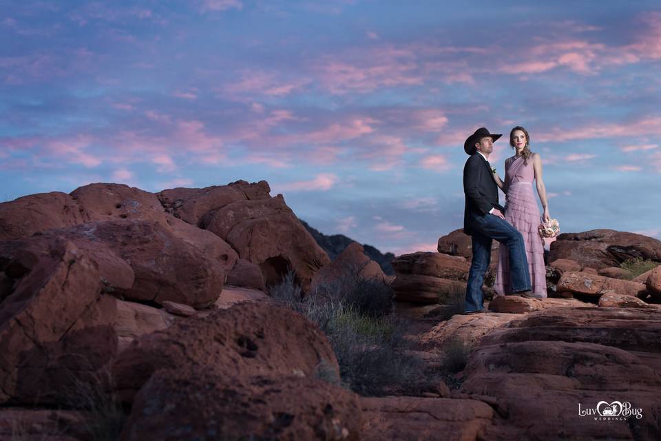 Valley of Fire Wedding