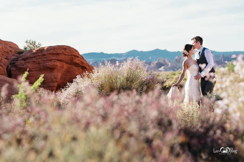 Valley of Fire Wedding