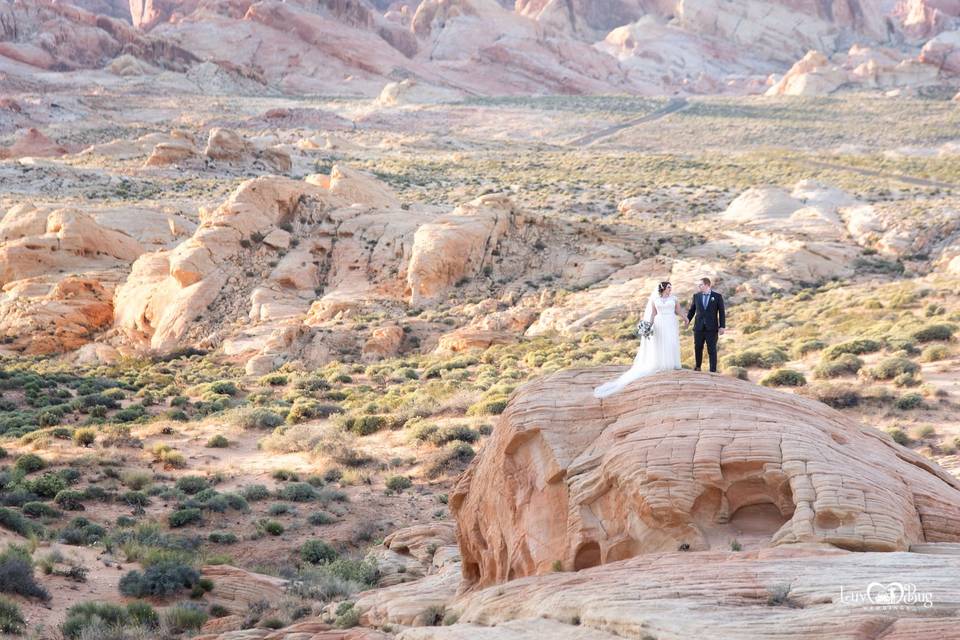 Valley of Fire Wedding