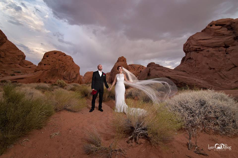 Valley of Fire Wedding