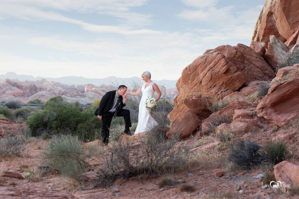 Valley of Fire Wedding