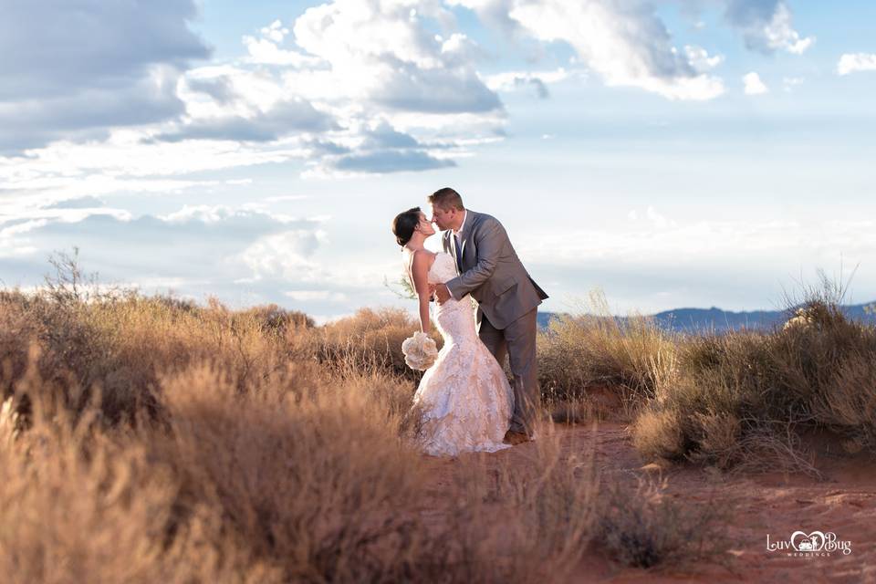 Valley of Fire Wedding