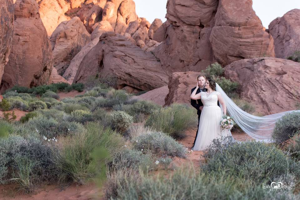 Valley of Fire Wedding