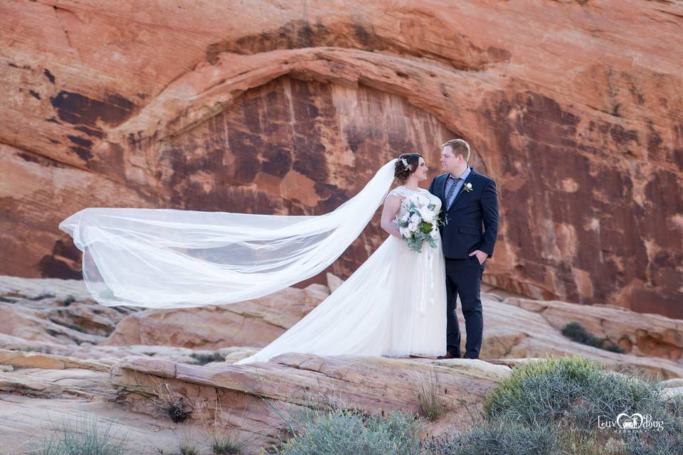 Valley of Fire Wedding