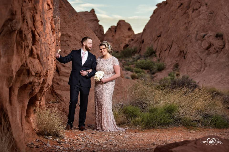 Valley of Fire Wedding