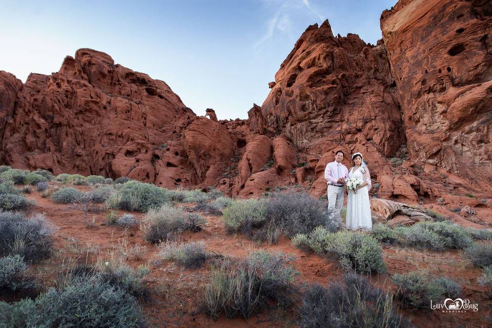 Valley of Fire Wedding