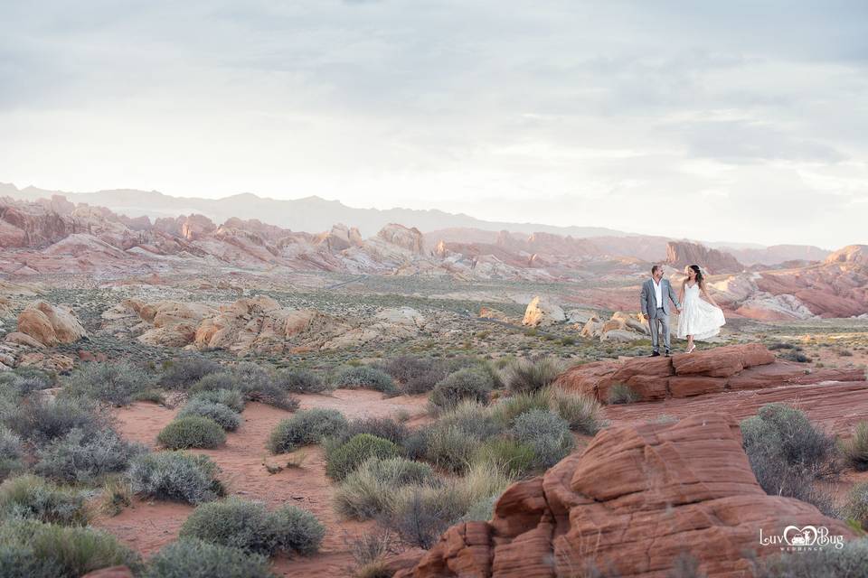 Valley of Fire Wedding