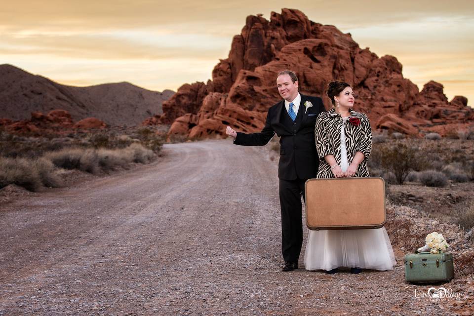 Valley of Fire Wedding