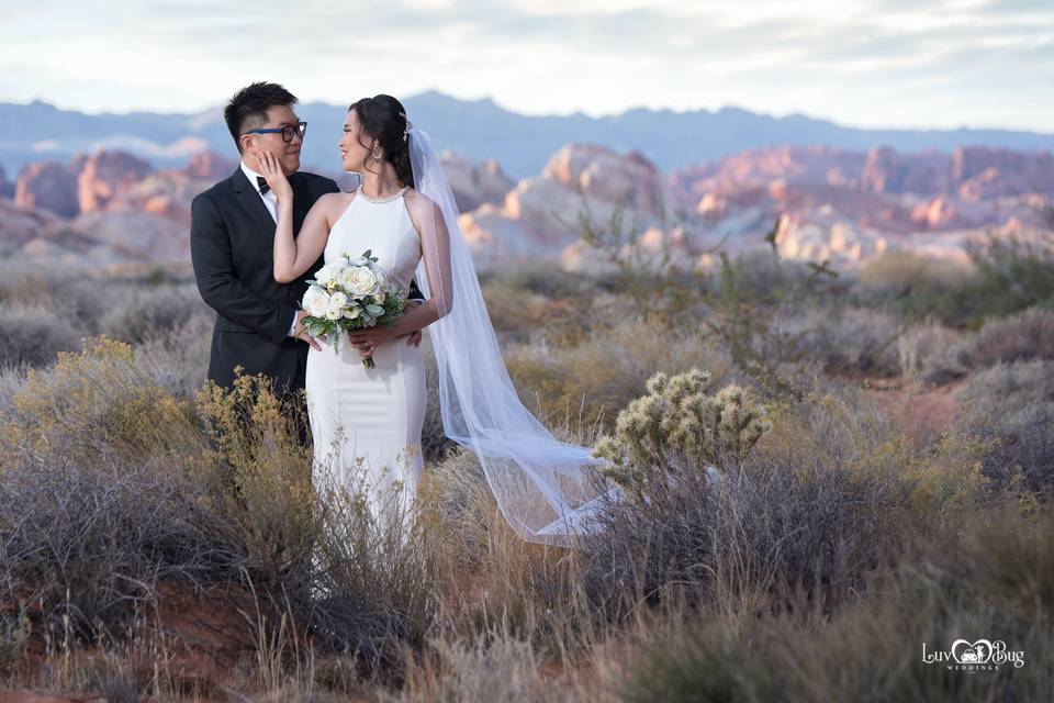 Valley of Fire Wedding