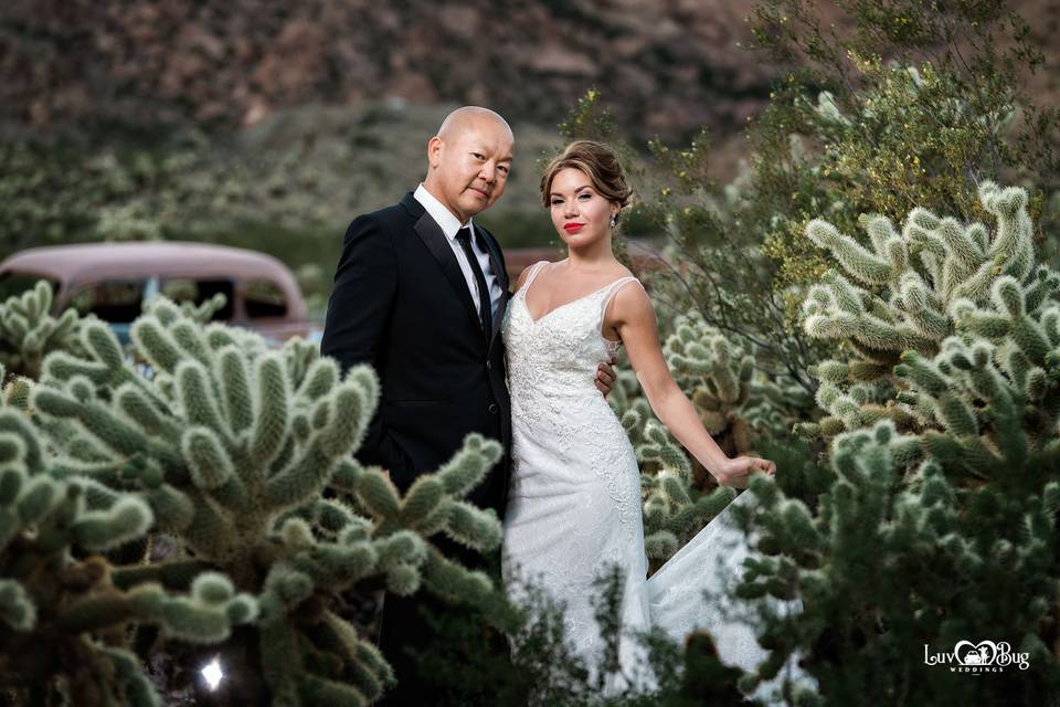 Nelson Ghost Town Wedding