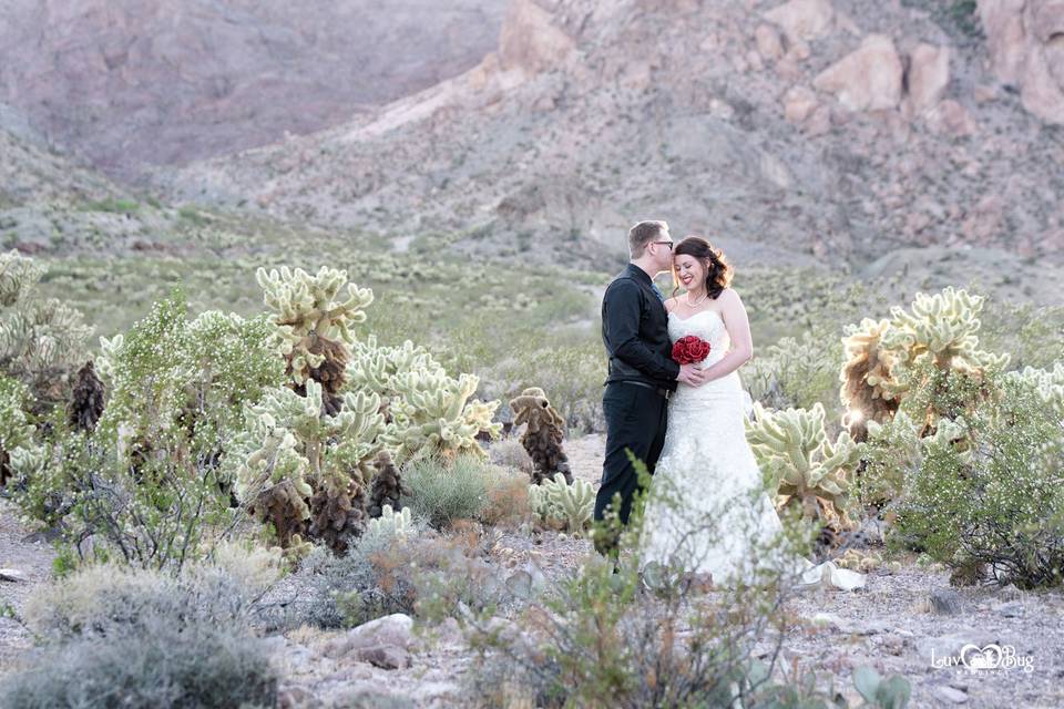 Nelson Ghost Town Wedding