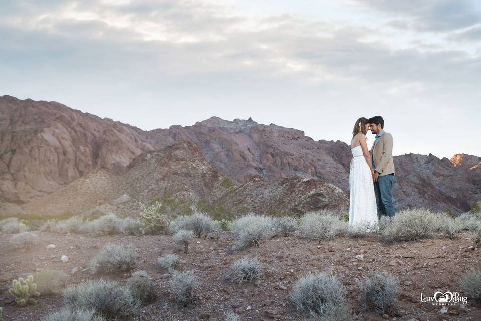 Nelson Ghost Town Wedding