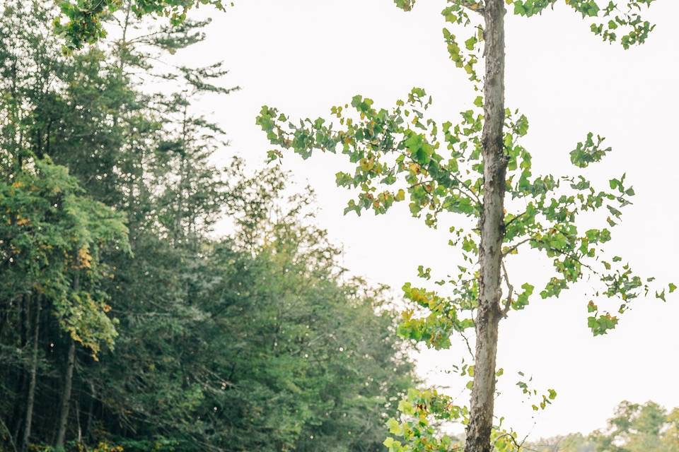 The Ashokan Center