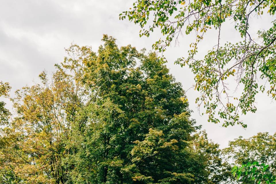 The Ashokan Center