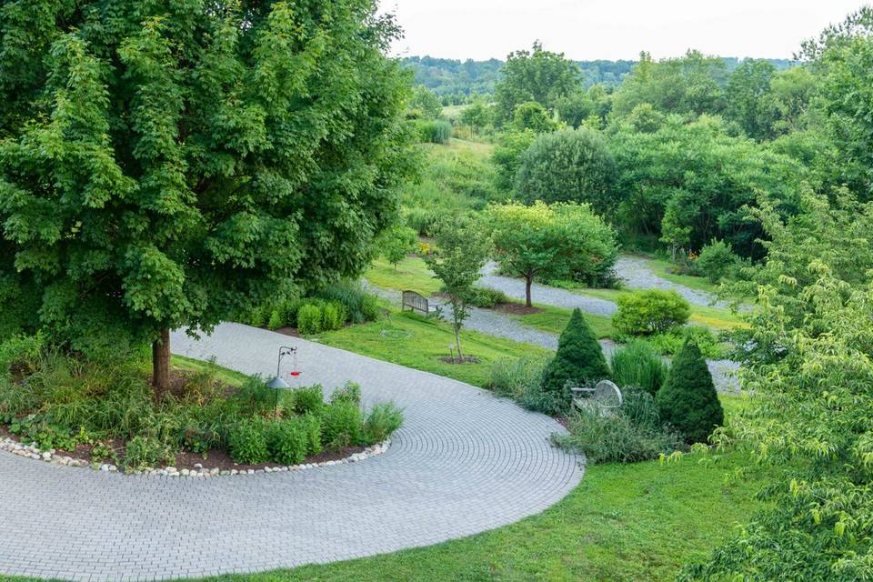 Native plant garden