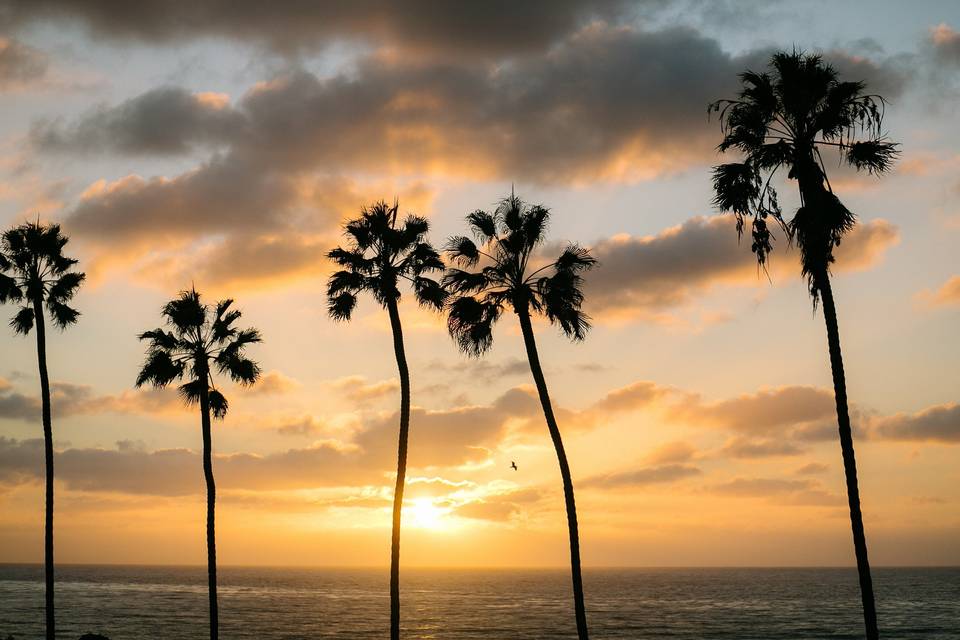 La Jolla Cove Rooftop by Wedgewood Weddings