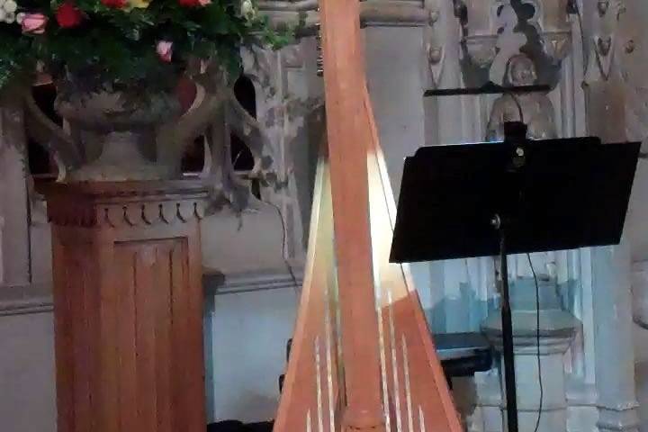 Laura Byrne Harpist