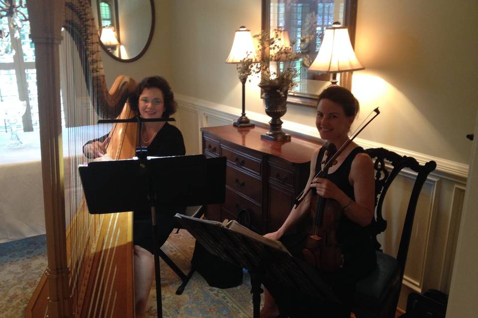 Laura byrne's violin & harp duo for a private reception.