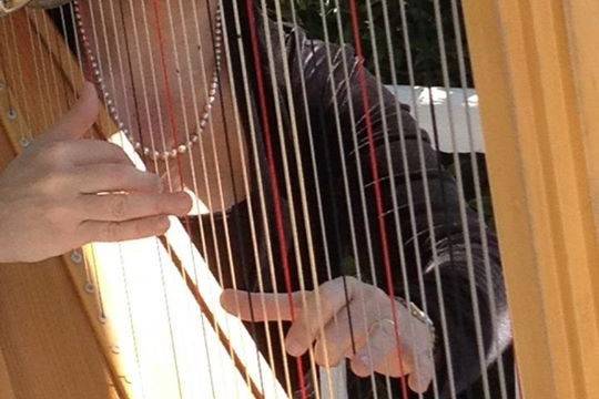 Performing on the porch of a historic home at an outdoor wedding.