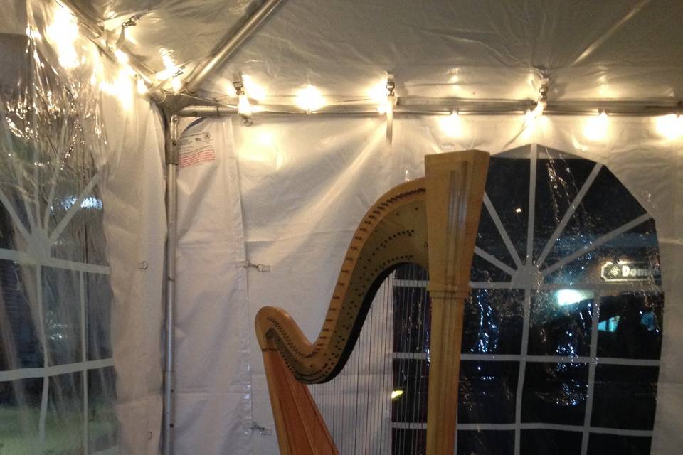 Performing outdoors in a tent for a cocktail reception.