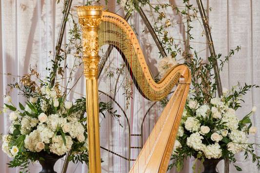 Laura Byrne Harpist