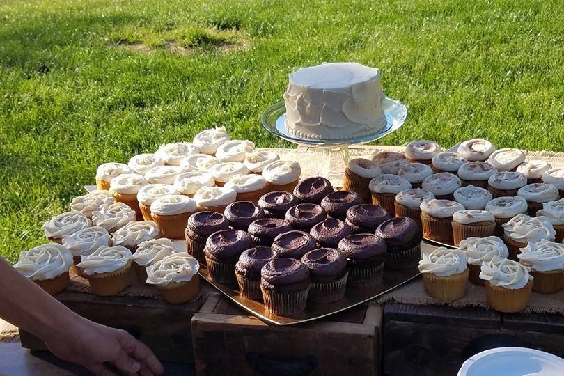 Cake and cupcakes
