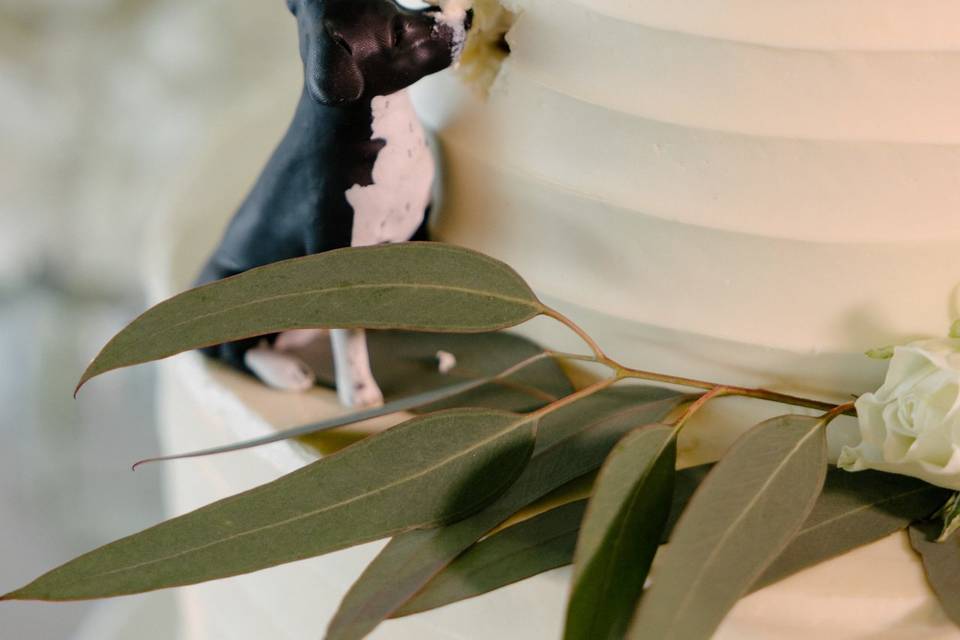 Montauk Long Island Wedding