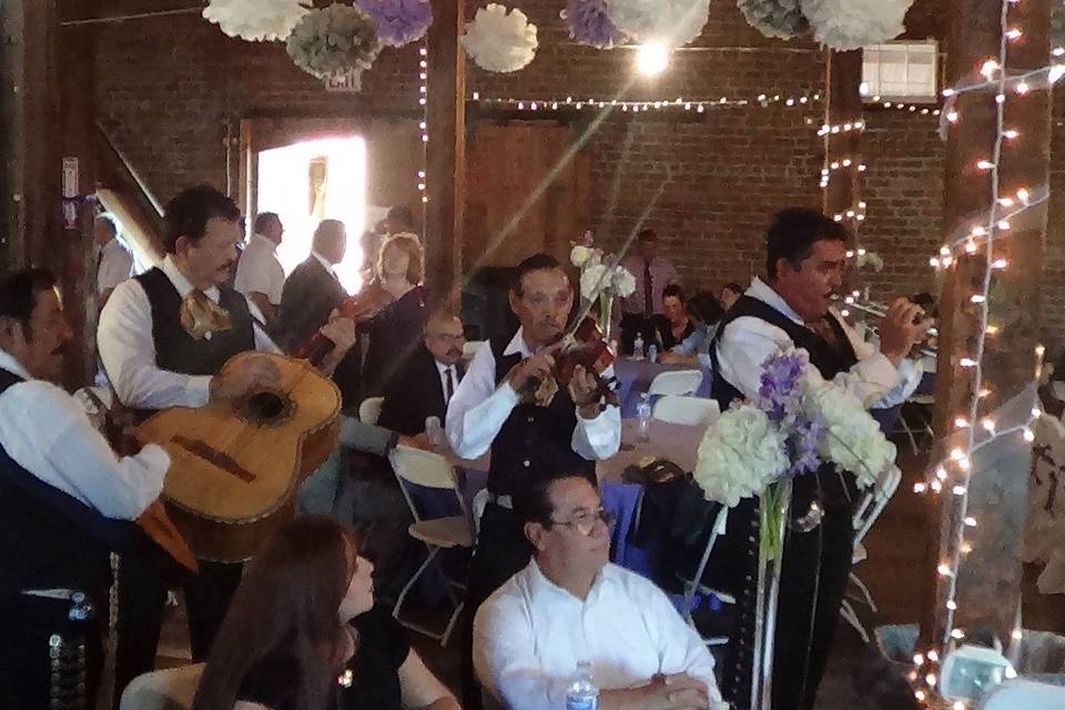 mariachi alegre de tucson az