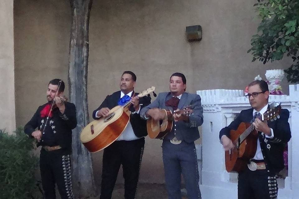 mariachi alegre de tucson az