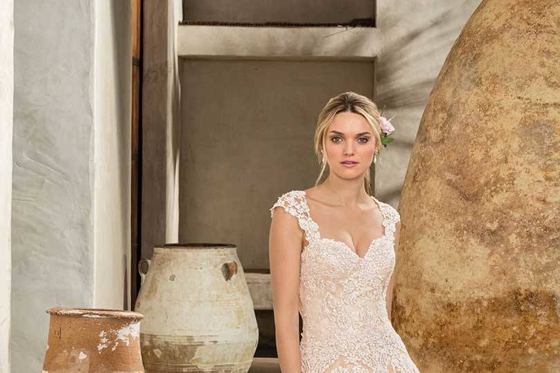 Style 2289 Amber		Dropped waist ballgown with beaded lace and cathedral length train. Optional strapless sweetheart neckline or attached cap sleeves and illusion back.