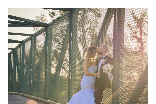 MOVING STILL PICTURES PHOTOGRAPHY